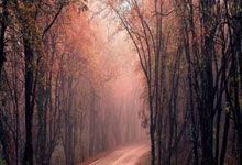 爱游戏：伊万：我们准备充分希望明天能取得好成绩 想再次努力完成使命.