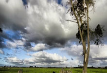 爱游戏：莫德里奇西甲387场超越马塞洛，队史外籍球员仅次于本泽马.