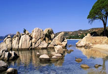 爱游戏：里萨谢36分创生涯新高，老鹰客场痛击雄鹿送其四连败.